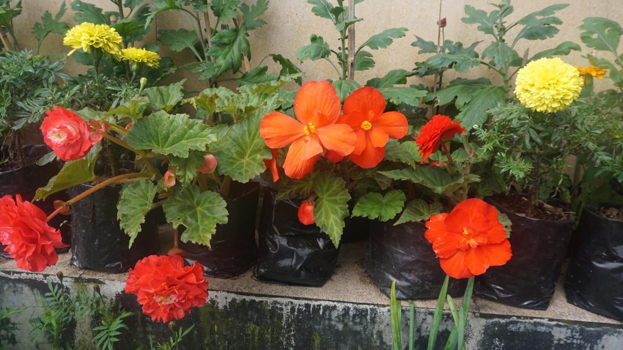 Tranquil Retreat Homestay Ghum Екстер'єр фото