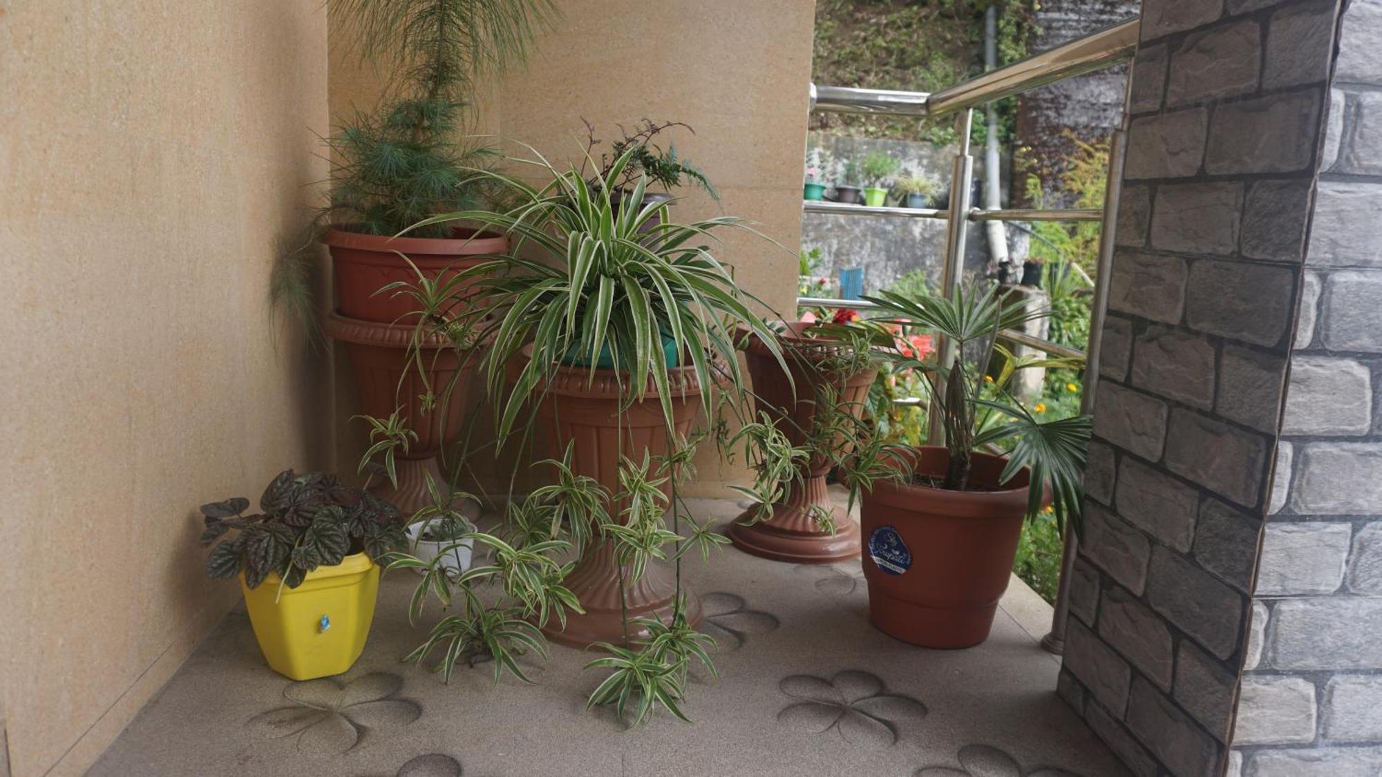Tranquil Retreat Homestay Ghum Екстер'єр фото