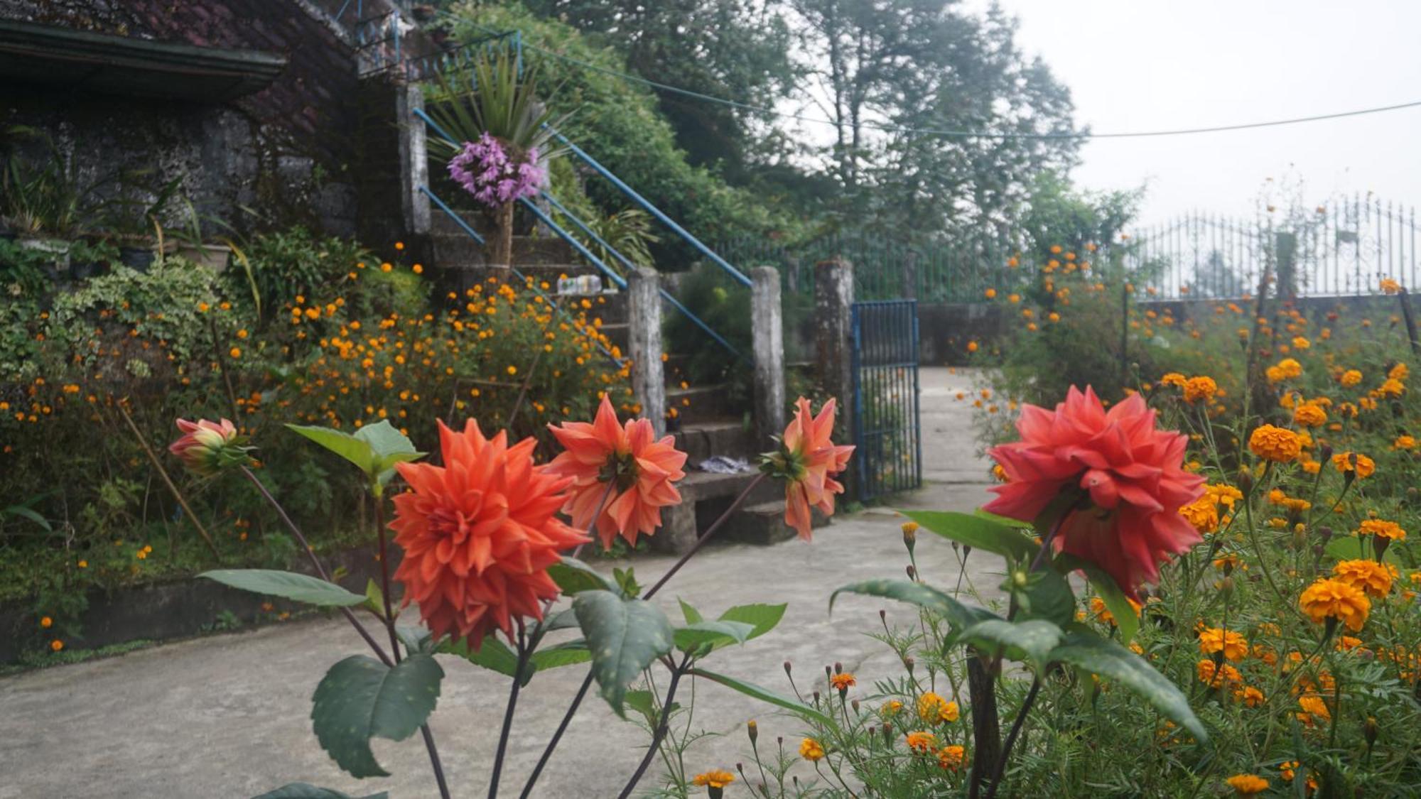 Tranquil Retreat Homestay Ghum Екстер'єр фото